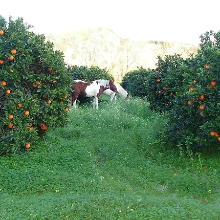 In Stilo With Garden, Cleaning Included * Guardavalle